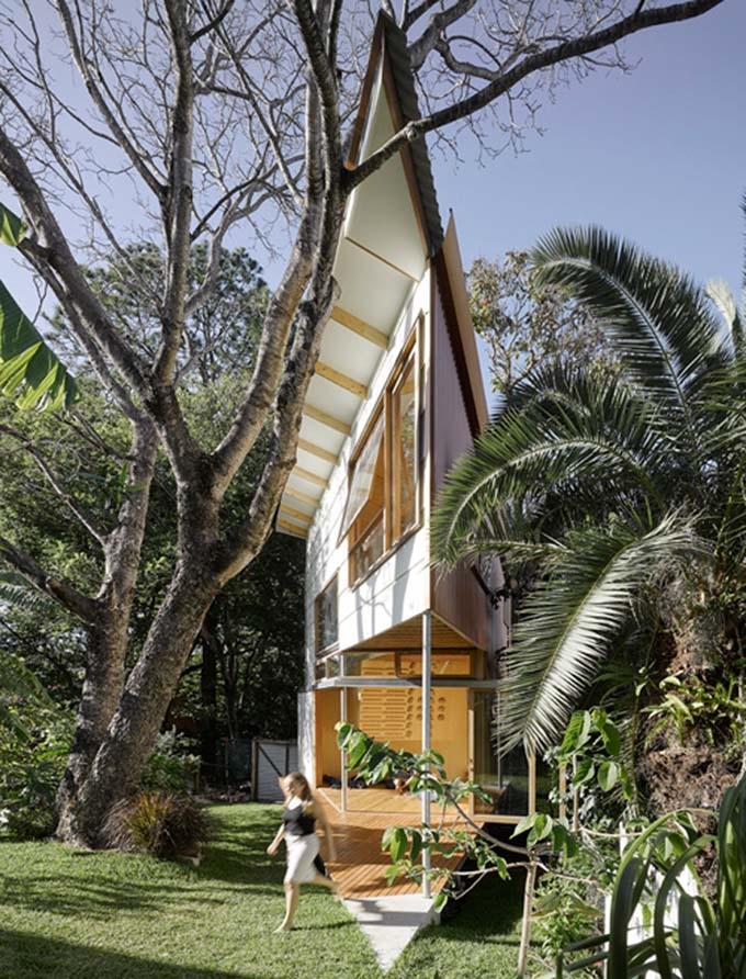 Kiến trúc nhà đẹp tam giác ở Australia lạc vào rừng cây